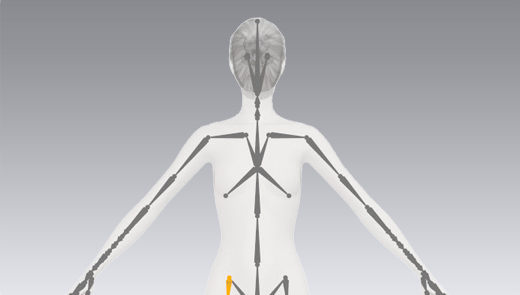 Display Skeleton
